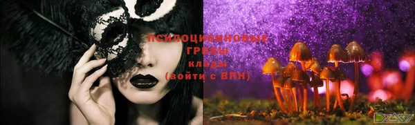 прущие грибы Касимов
