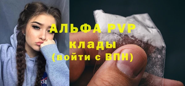 прущие грибы Касимов