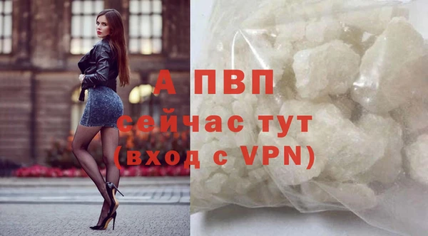 круглые Карпинск