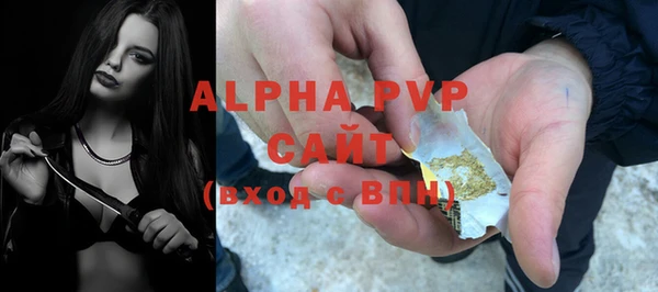 прущие грибы Касимов