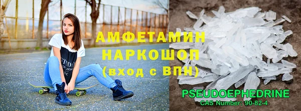 прущие грибы Касимов