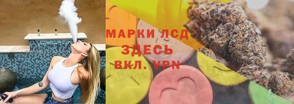 прущие грибы Касимов