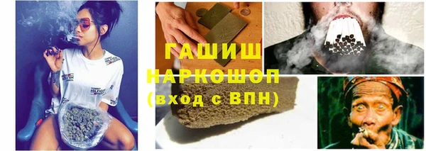 прущие грибы Касимов