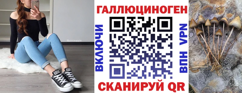 Купить где  Дальнереченск  Псилоцибиновые грибы мицелий 