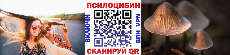 Псилоцибиновые грибы Psilocybe Дальнереченск